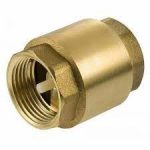 2'' check valve